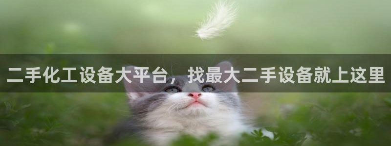 美狮会员卡等级划分表