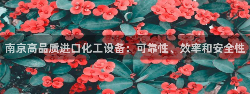 下载美狮会
