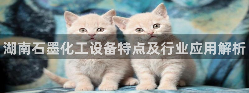 美狮科技