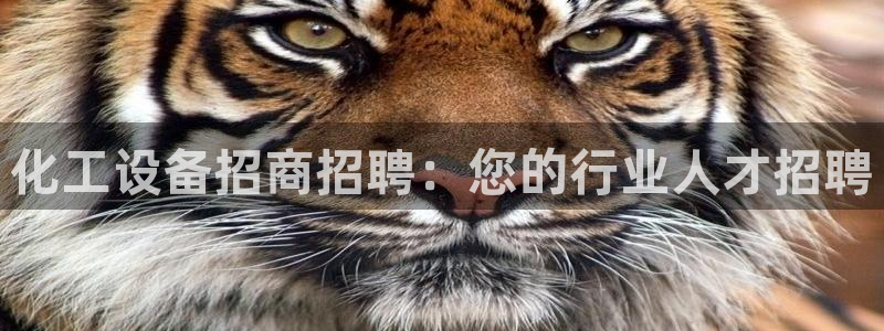 美狮贵宾会app