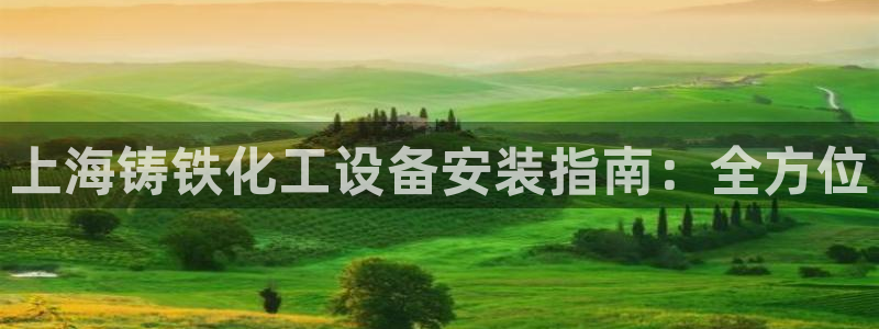 美狮会是什么平台
