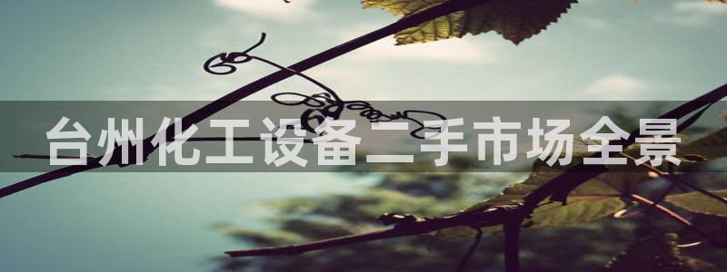 美狮贵宾会充值